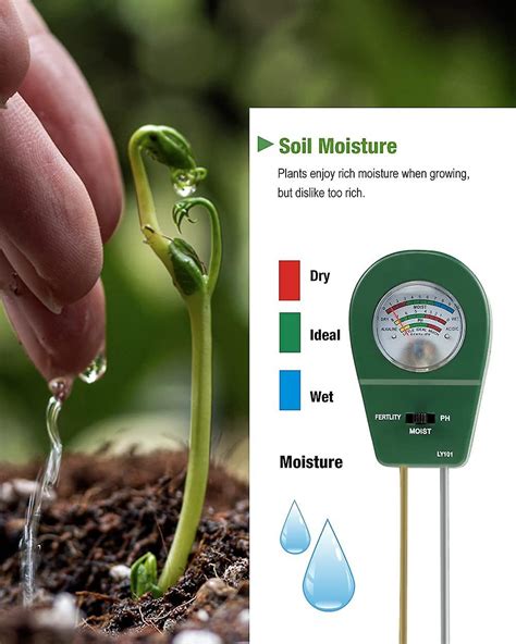 rainbird vochtmeter|Water Management .